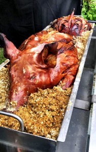 Hog Roast South West